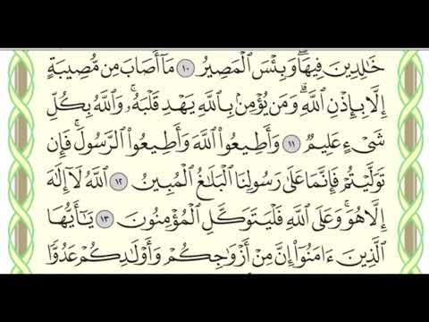 Suratu At-Taghabun 10-18 by Dr Ayman