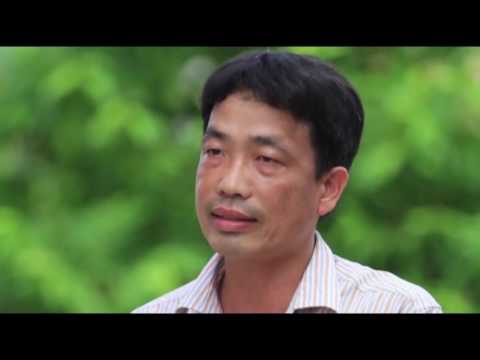 Phân bón Lâm Thao Bạn của nhà nông