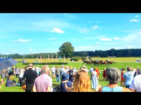 🌎 Berlin Races (Germany) 13/8/2023 (Hoppegarten Racecourse)