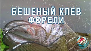 Рыбалка в лагуне на нижнем пруду