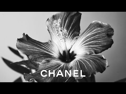 The Cruise 2021/22 Collection Campaign — CHANEL