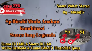 Download lagu SP BIRAHI MUDA ANAKAN STEREO INAP LEGENDA - DNA KEDUA SUARA WALET INI GAK PERLU DIRAGUKAN LAGI mp3