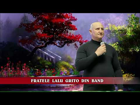 FRATII DIN BAND & FRATELE PETRISOR DIN TARNAVENI  -  E PREZENT IN ADUNARE