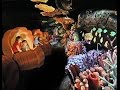 The Seas With Nemo Friends Ride Along EPCOT Walt Disney World