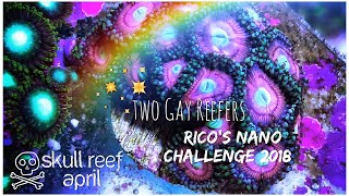 Rico’s Nano Challenge 2018 - Skull Reef April Update - Rico’s Aquariums