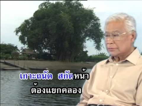 คลิกเพื่อดูคลิปวิดีโอ