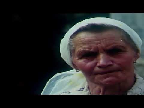 ŻENIAC   (1983 ) POLSKI FILM