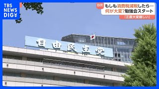 “消費税の減税”実施が可能か自民が勉強会　意見の集約は難航が予想｜TBS NEWS DIG