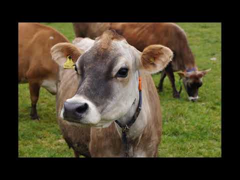 Vuelve el fútbol fecha 10