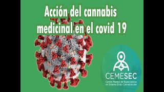 ACCION DEL CANNABIS MEDICINAL EN COVID 19