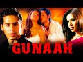 Gunaah 2002 Full Movie HD Dino Morea Bipasha Basu Irrfan Khan Ashutosh Rana Facts Review