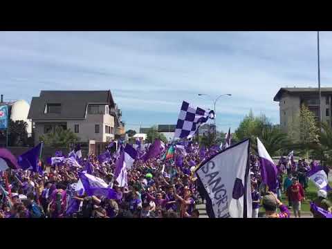 "marcha los Lilas" Barra: Los Lilas &bull; Club: Club Deportes Concepción