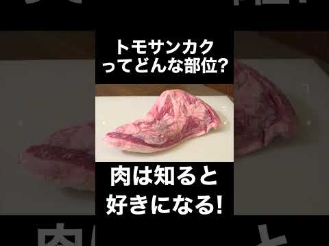 ¿Qué tipo de papel es “Tomosankaku”? Trivia de Yakiniku sobre las que no puedes preguntar ahora #shorts