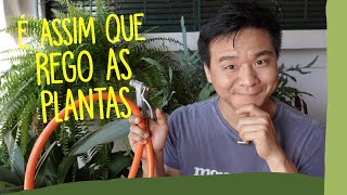 Miniatura do vídeo