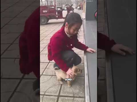 Une histoire de courage, d'apprentissage et de réussite