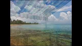 preview picture of video 'Vieques Island by the Vieques Beach Bums 2008 to 2014'