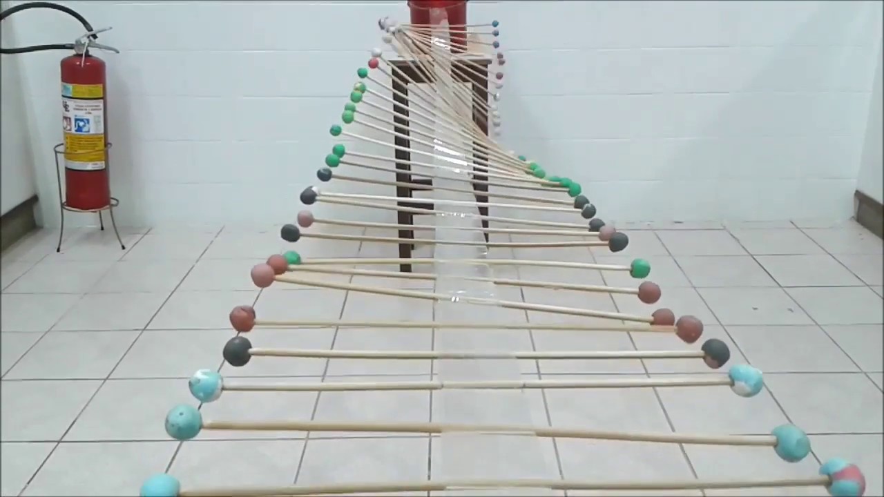 MÁQUINA DE ONDAS - EXPERIMENTO DE FÍSICA