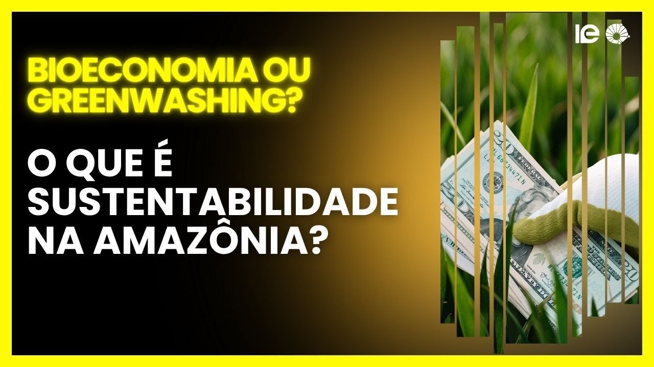 Bioeconomia e sustentabilidade: aplicação a cadeias de valor na Amazônia