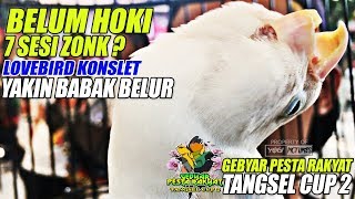 Download lagu BELUM HOKI 7 SESI ZONK ? LOVEBIRD KONSLET YAKIN BABAK BELUR DI KEPUNG ! mp3