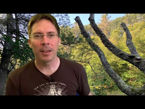 Holy Obliviousness - Fr. Mark Goring, CC