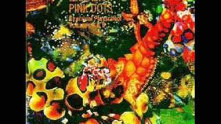 The Legendary Pink Dots - Little Oyster