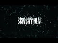 Zehr Vibe X Intense X Sardar Khehra Sensation Official Visualizer 1 11 EP