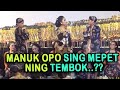 Percil Cs Lucu Poll Lurd Manuk Opo Sing Paling Cilik Cil