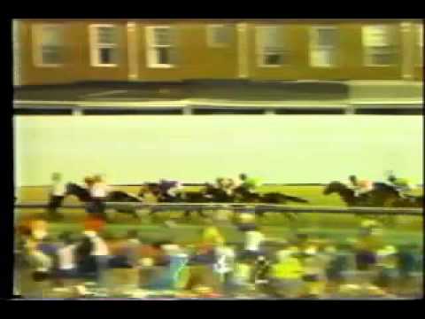 107th Preakness Stakes - May 15, 1982