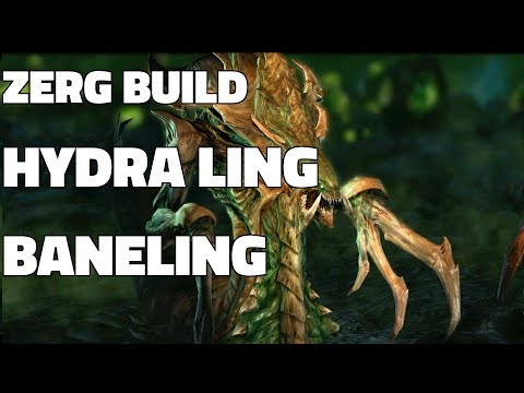 Starcraft 2: Zerg Build - Hydra Ling Baneling v Terran (Guide/Gameplay Demonstration!)