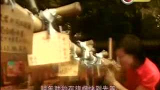 再見我的恐龍,跟你初戀也不枉!(一)