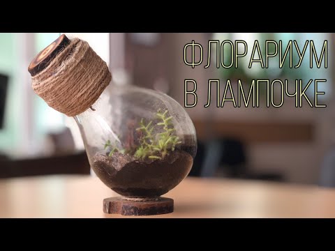 МИНИ-ФЛОРАРИУМ В СТАРОЙ ЛАМПОЧКЕ СВОИМИ РУКАМИ || КАК СДЕЛАТЬ ФЛОРАРИУМ || CLOSED FLORARIUM