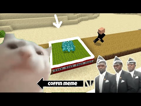 Coffin Meme Traps but Cat is Vibing Part 3 - Minecraft