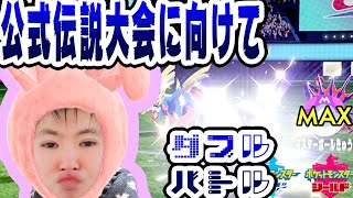 【SYTV剣盾】伝説大会に向けて！対ムゲンダイナ/ザシアン！！最高ランク！！！最終形態マスボ級MAX！！！！！１０シーズン！【ポケットモンスター】ポケモン/SWORDSHIELD/POKEMON