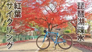 KONA ROVE で琵琶湖疎水紅葉サイクリング