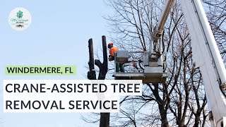 Crane-Assisted Tree Removal in Windermere, FL