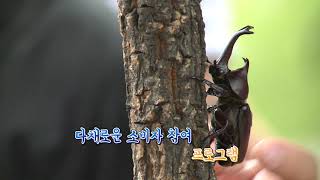 [스토리가 있는 경기팜 광고 30]곤충산업 육성 2020곤충 페스티벌