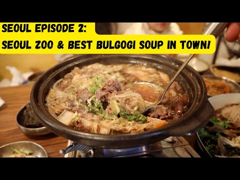 Lindo ZOOLÓGICO de SEOUL e a melhor SOPA BULGOGI da cidade!