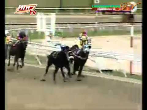 LA RINCONADA 11 CARRERA DOMINGO 26 DE OCTUBRE DEL 2014