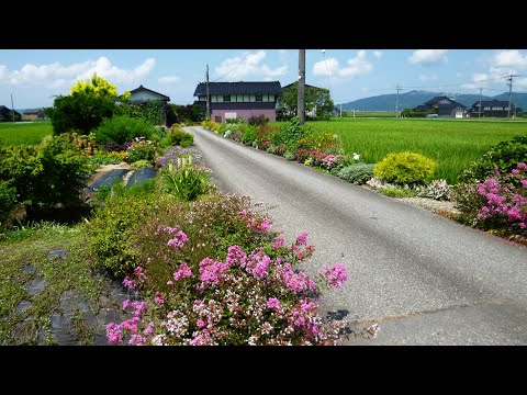 園芸 花のまちづくりコンクール