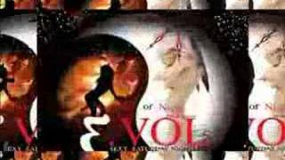 E.VOL - PERFECT SATURDAY NIGHTS