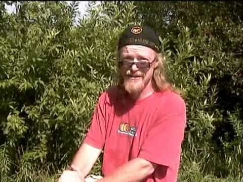 Aeolian Harp Project I - Kircher's First Modern Harp