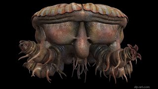 Download lagu Polygon-4: life beyond contour fields mp3