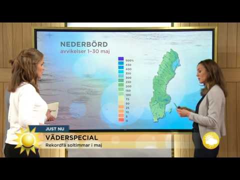 Väderspecial: Vi summerar ett solfattigt maj - Nyhetsmorgon (TV4)