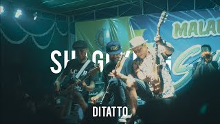 Download lagu SHAGGYDOG - Ditatto, live (Sayidan) mp3 Download lagu SHAGGYDOG - Ditatto, live (Sayidan) mp3