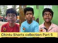 Chintu Shorts Collection Part 5 | Velujazz