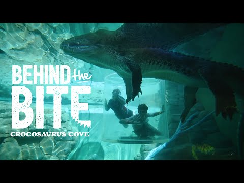 Behind the Bite: The Cage of Death at Crocosaurus Cove