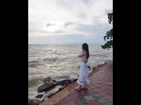 Nonstop SB Team 260  2016