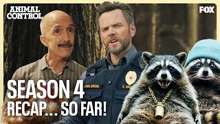 show video image in three sizes