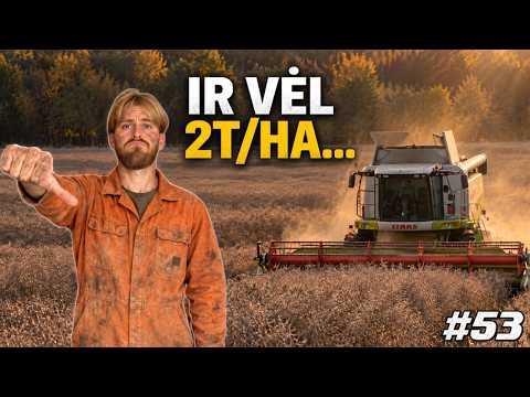 Paskutinis Rapsų Kūlimas… Nebeauginsim! // JAUNASIS ŪKININKAS #53