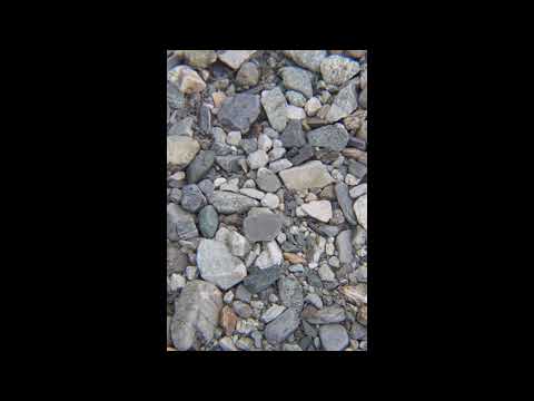 #BASSGOSH (Droeloe, Steve void, Jauz, DJ Snake, Lil Peep & ILoveMakonnen, Avicii) EDM remix.